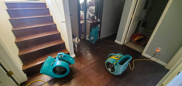 Best Water damage cleanup near me  in Hamilton, TX