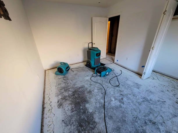 Best Water damage contractors near me  in Hamilton, TX