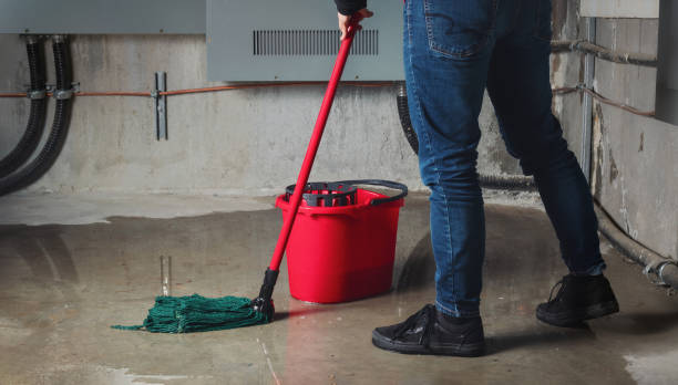 Best Local water damage restoration  in Hamilton, TX