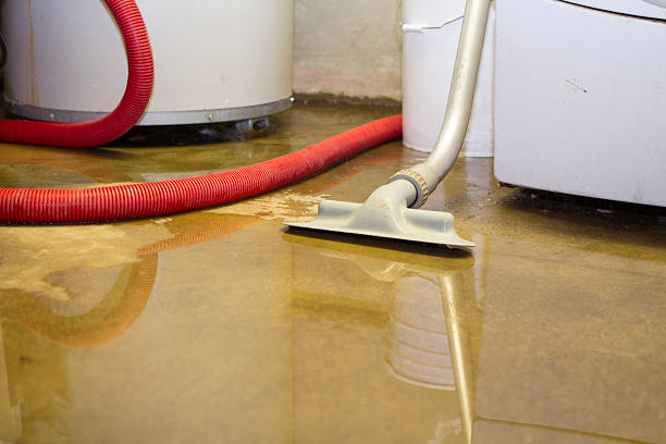 Best Fire Damage Restoration  in Hamilton, TX