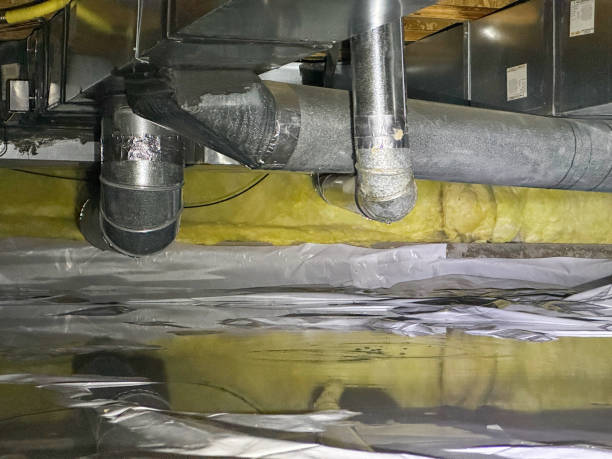 Best Water damage cleanup near me  in Hamilton, TX