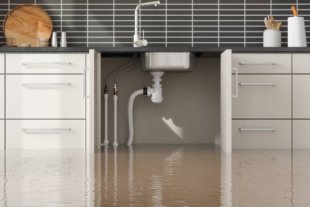  Hamilton, TX Water damage restoration Pros