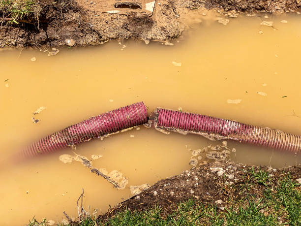 Best Water damage cleanup near me  in Hamilton, TX